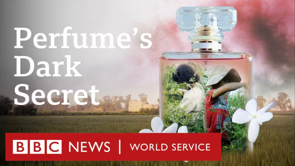 Perfume’s Dark Secret