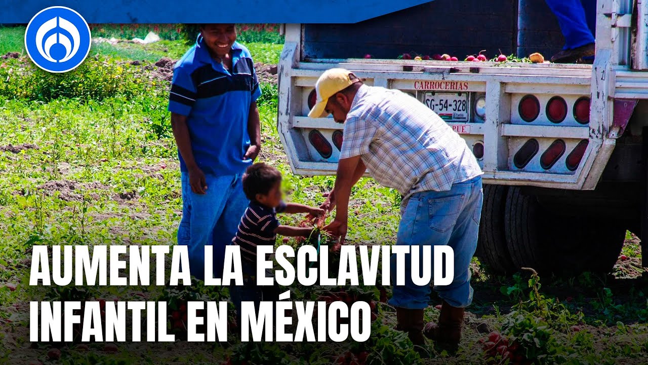 En este momento estás viendo Crisis migratoria en México ha aumentado la esclavitud infantil: Salvador Guerrero Chiprés